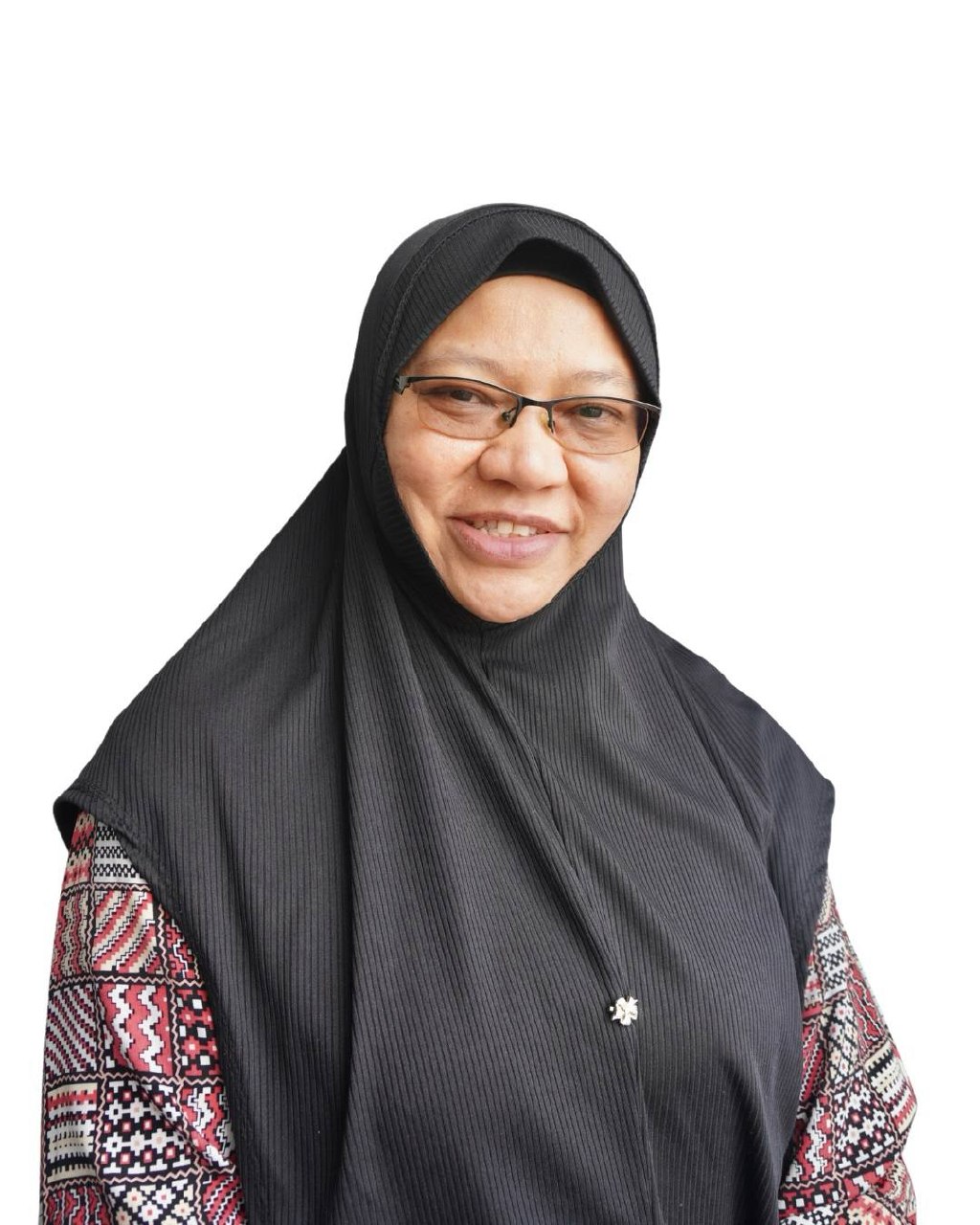 PROFESSOR AZIMATUN NOOR AIZUDDIN