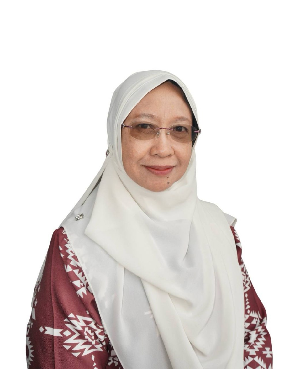 PROFESSOR DR. HIDAYATULFATHI OTHMAN